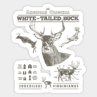 An American Original White-Tailed Buck Deer Hunting Sticker